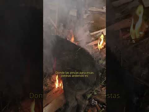 Mumu: la mejor técnica de cocina thumbnail