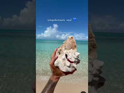 Você já conhecia Eleuthera? 😱 #viagem #bahamas thumbnail