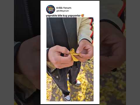 Yapraktan kuş yapımı çok iyi ❤️ #komikyorumlar thumbnail