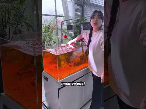Het meisje was verrast toen het aquarium plotseling glashelder werd 😳 thumbnail