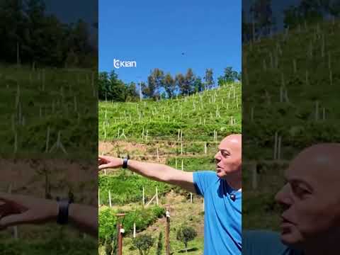 Një oaz mes kodrave të Ishmit/ Kantina Duka dhe përvoja unike turistike thumbnail