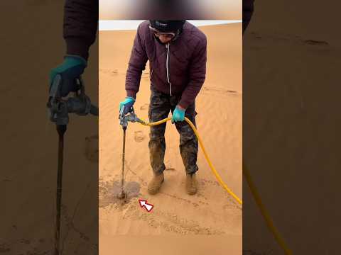 Making Tree In Desert 🤯 thumbnail