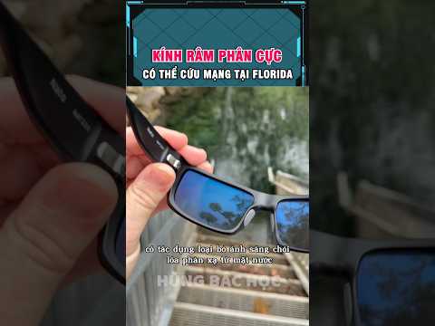 loại kính râm này có thể cứu mạng ở florida thumbnail