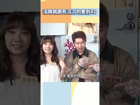 活跳跳跟死沉沉的差別XD【#小姐不熙娣】#shorts thumbnail