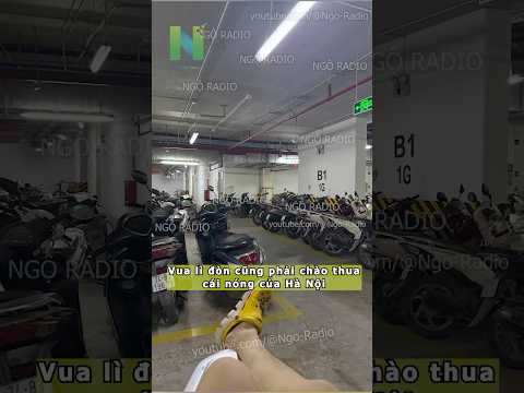 Vua lì đòn cũng phải chào thua cái nóng của Hà Nội thumbnail