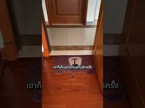 สุนัขที่หายไป กลับมานั่งอยู่ตรงหน้าเขา thumbnail