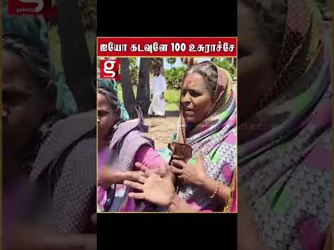 ஐயோ கடவுளே 100 உசுராச்சே   ஒப்பாரி வைத்த மூதாட்டிகளை … thumbnail