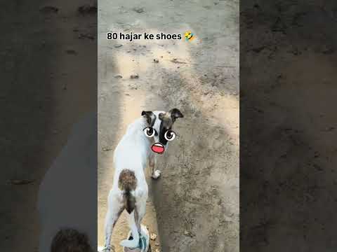#trending #funny #funny #comedy #explore #viral #comedy #viral #memes #roast #memes #roast #likers thumbnail