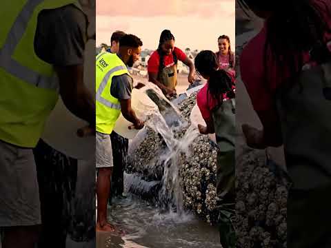 Marine Wildlife Rescue Agents thumbnail
