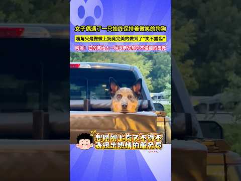 女子偶遇了一隻始終保持著微笑的狗狗，嘴角只是微微上揚竟完美的做到了"笑不露齒"，網友：它的笑給人一種很親切卻又不諂媚的感覺！#shorts thumbnail
