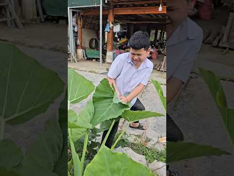 Lá đó ngứa lắm thumbnail