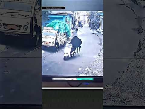 Aksi Sapi Bawa Kabur Motor Warga Terekam CCTV‼️ thumbnail