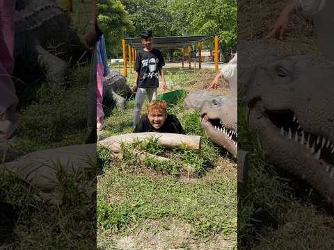 Kasih makan buaya dino thumbnail