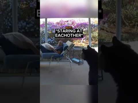 Homeowner Comes Face To Face With The Unthinkable… thumbnail