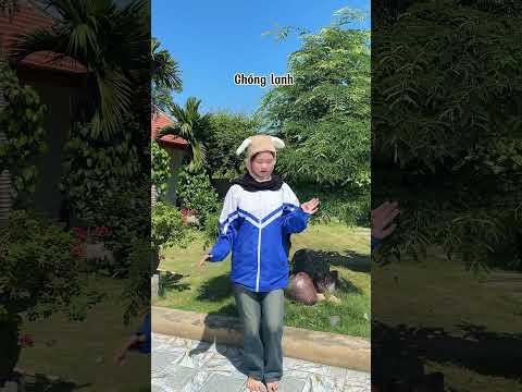Đồng phục miền bắc. thumbnail