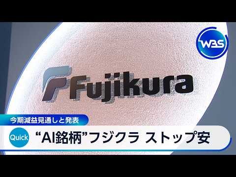“AI銘柄”フジクラ ストップ安 今期減益見通しと発表【WBS】 thumbnail