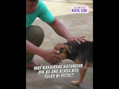 Aspin na putol ang isang paa, kumusta na? | Dami Mong Alam, Kuya Kim! thumbnail