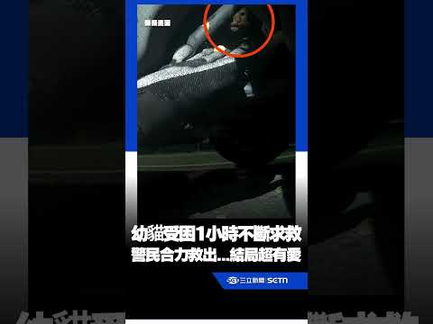 高雄街頭傳微弱貓叫！幼貓受困1小時不斷求救 警民合力救出...結局超有愛｜三立新聞網 SETN.com thumbnail