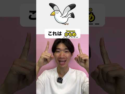 Must know Japanese phrases #shorts thumbnail