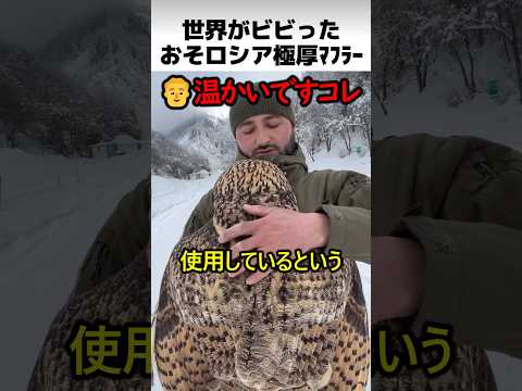 おそロシア極厚マフラーの正体 thumbnail