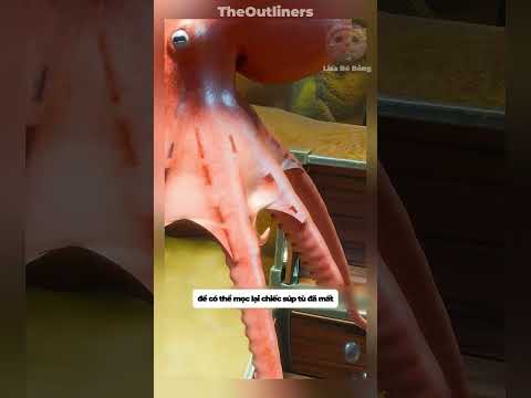 Nếu bạn chặt một súc tu của bạch tuộc nó sẽ mọc lại đấy #shorts #facts thumbnail