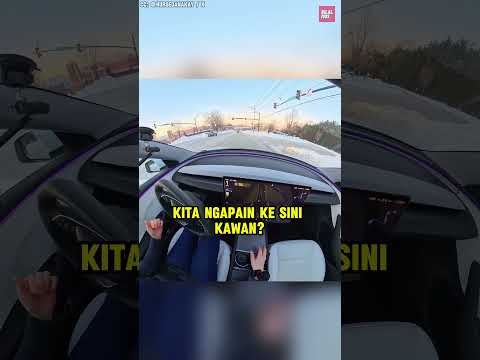 Tesla Ini Lebih Peka Daripada manusia thumbnail