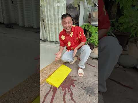 Cách Tôi Cho Xe Lên Xuống Bậc Thang #haongchu thumbnail