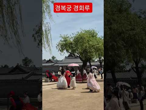 화창한 날씨에 관광객이 넘쳐요 #경복궁경회루에서 추억담는 아름다운 모습 행복이 묻어나네요 #사랑해요그대를 #임영웅  #트로트 #안중태tv thumbnail