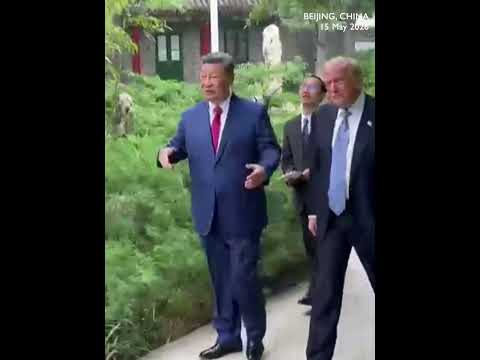 WATCH: Xi gives Trump tour of Zhongnanhai gardens- residence for the Chinese leadership thumbnail