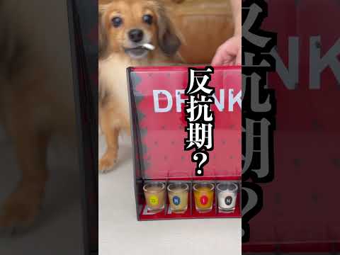 コインを落として入ったドリンクを当てさせたらズルしすぎた！ thumbnail