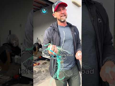 BTS | Friday Rescue Patrol Update #shorts thumbnail