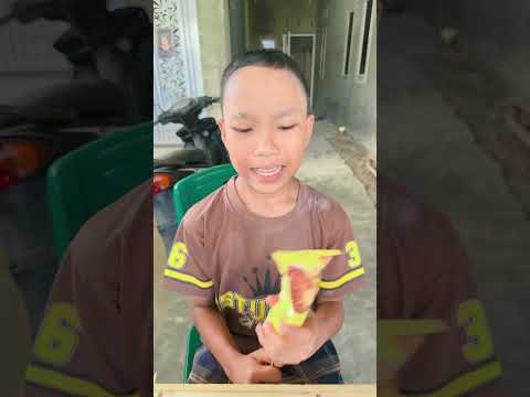 Harus makan sayur thumbnail