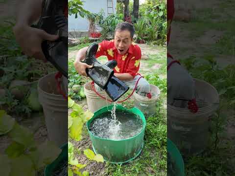 Đừng Khóc Tôi Sẽ Giúp Bạn Tìm Giày Vượt Dung Nham #haongchu thumbnail