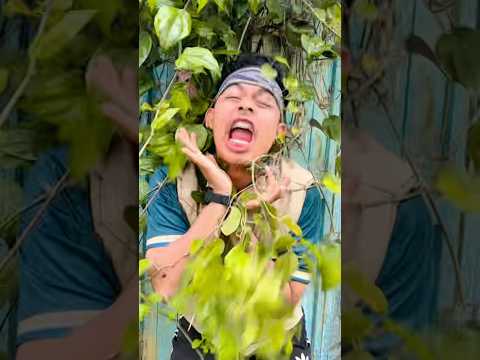 AKU SEORANG KAPITEN - nyanyi lagu prok prok prok ! thumbnail