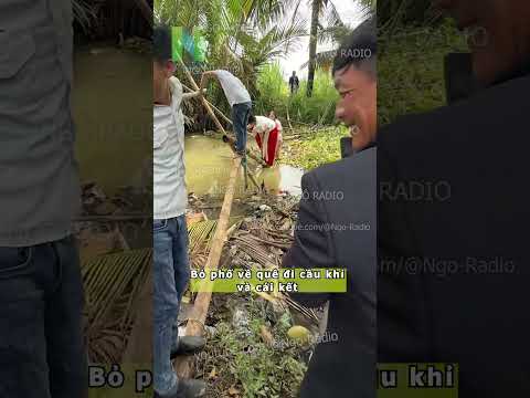 Bỏ phố về quê đi cầu khỉ và cái kết thumbnail