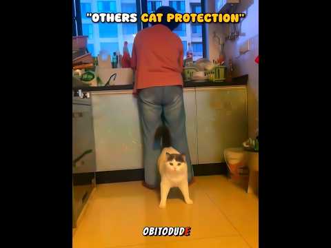 Last Kid Has Best Protection ? thumbnail
