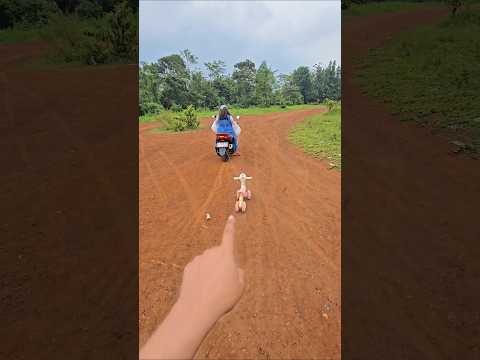 astaga kenapa sepadah zira ditarik bawang putih#trendingshorts thumbnail