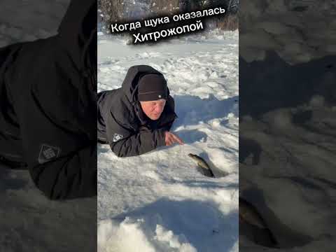 Вот щука😂👍 #юмор #ржака thumbnail