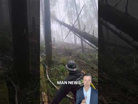 Tree Fights Back | Man News (via cunnevil126/ig) #unexpected #arborist #unbelievable #waitforit thumbnail