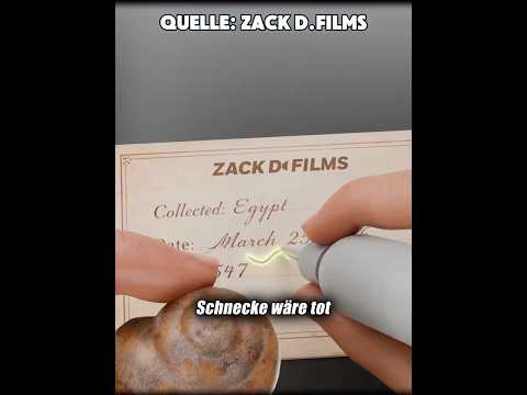 Die Schnecke, die jahrelang geschlafen hat thumbnail