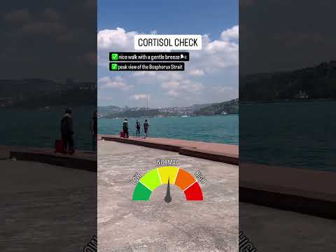 Cortisol check while on a stroll down the promenade ? thumbnail