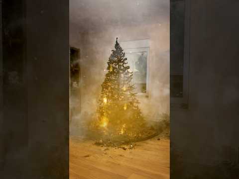 Cuando MONTAS el ARBOL de NAVIDAD!!…🔥🎄#humor #comedia #shorts thumbnail