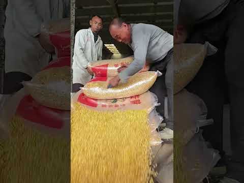 The process of unpacking corn kernels- Good tools and machinery make work easy thumbnail