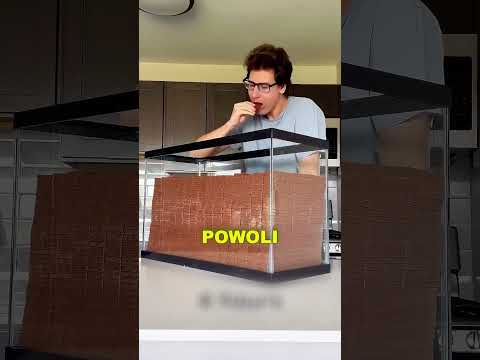 Największy fan MrBeasta na świecie 🤯🔥 thumbnail