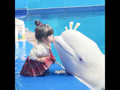 This sea lion actually understands human love.#cat #pets #cutepet #cute #Dog #shorts #Pet #foryou thumbnail