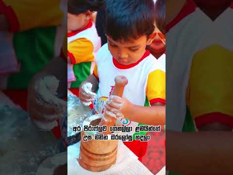 මම පෙර පාසල් දාහක් හැදුවා... #dpeducation #preschool #dhammikaperera #educationforall thumbnail