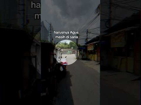 Nyamperin Agus (kucing liar yang dipasangin pelacak) thumbnail