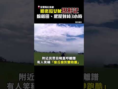 哈密瓜女賊現形記　躲稻田、爬屋對峙3小時 @ChinaTimes #shorts #哈密瓜 #哈味 #移工 #外籍 #失聯 #瓜田李下 #宜蘭 #鐵皮屋 thumbnail
