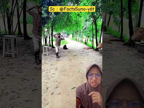 Aku Cuma numpang lewat, sapi‼️ FactsSuno-y6t thumbnail