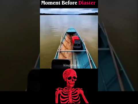 Speed of fish #aestheic #shorts thumbnail